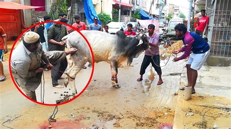 Eid Qurbani 2024 .